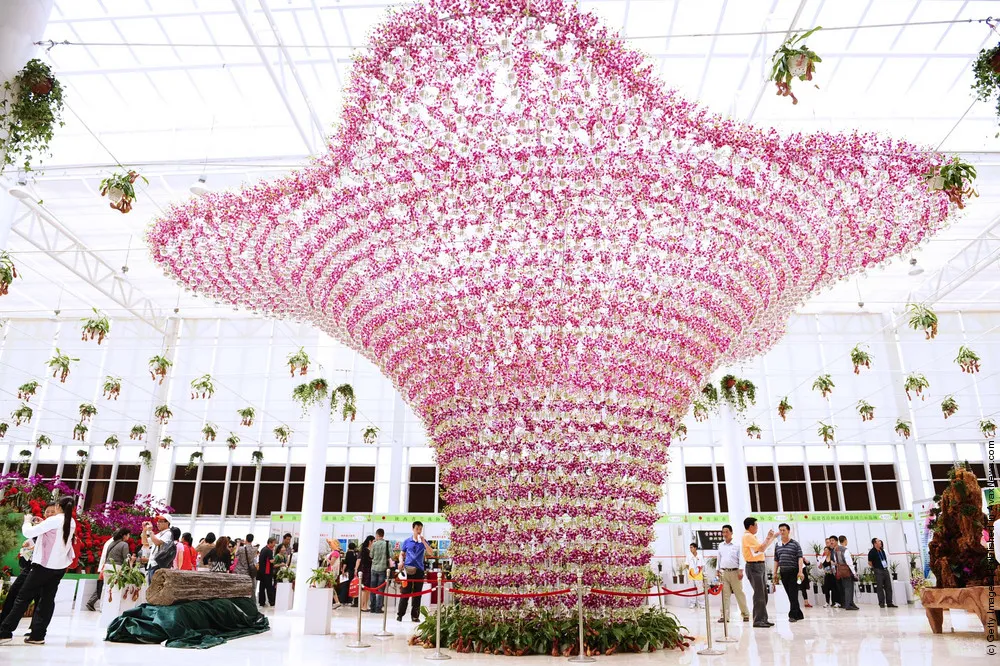 The International Horticultural Exposition 2011 Opens To Public