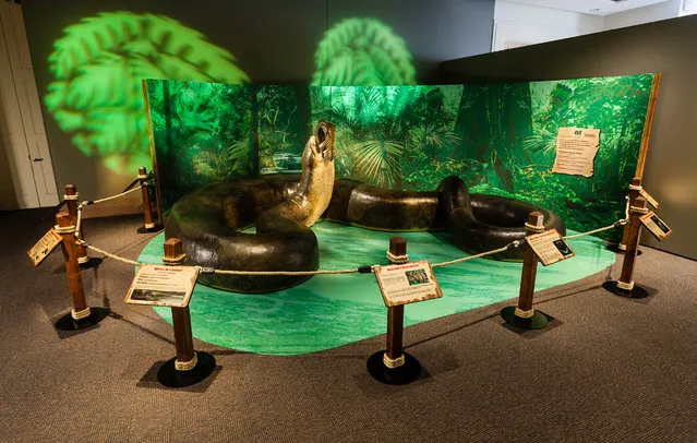 Titanoboa: Monster Snake