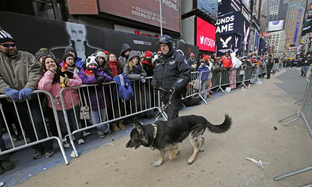 New York City K-9 officer Anderson guides his bomb-sniffing dog through a corridor as people gather in Times Square in preparation for the New Year's Eve ball drop, Tuesday, December 31, 2013, in New York. (Photo by Kathy Willens)/AP Photo