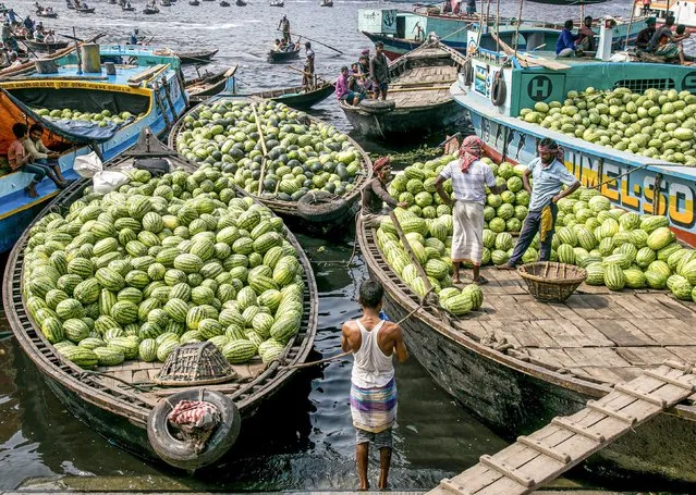Watermelon farmers offload the fruits of their labour from their boats ready for sale at local markets in Sadarghat, the major river port in Dhaka, Bangladesh early April 2024. (Photo by Rayhan Ahmed/Solent News)