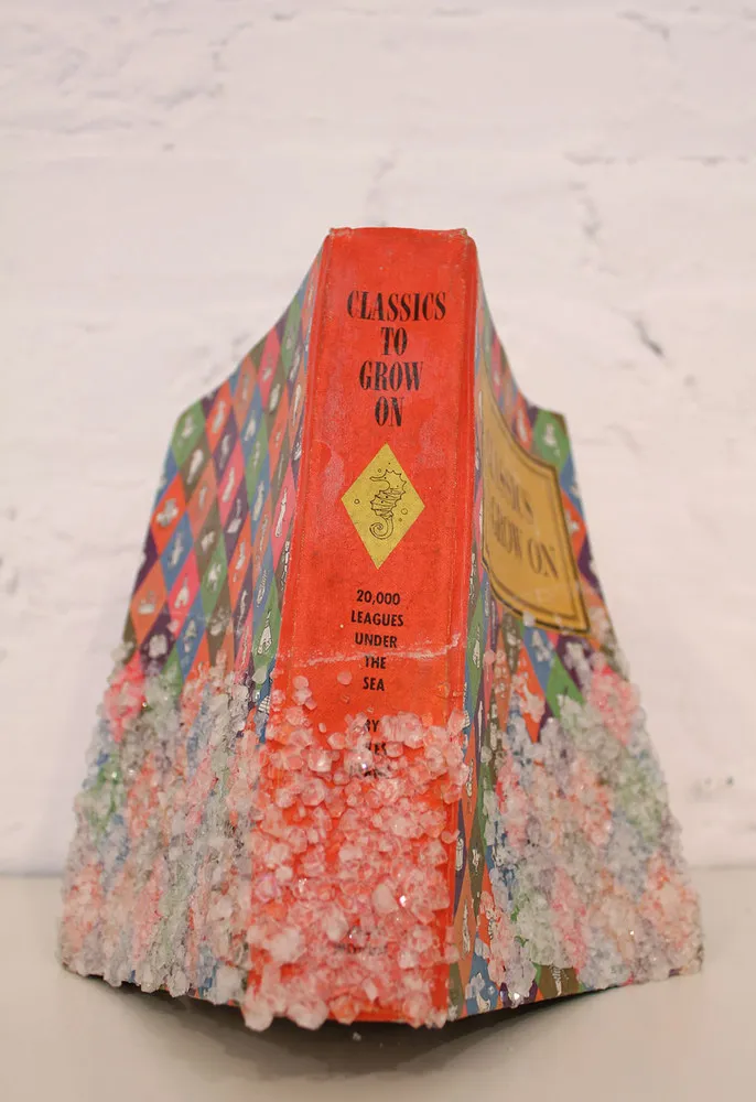 Grows Crystals on Books by Alexis Arnold