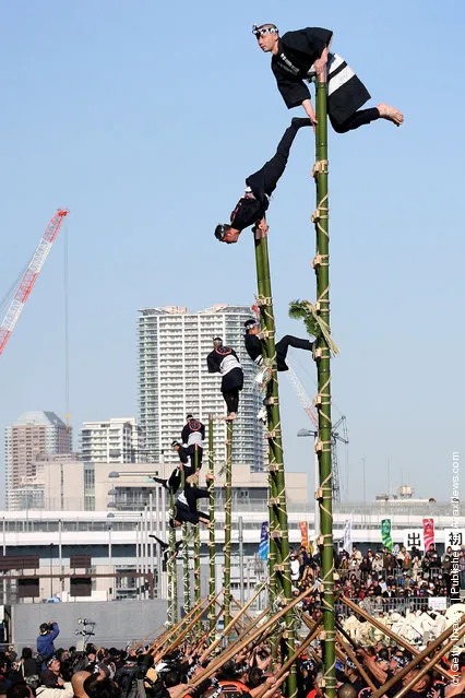 Members of the Edo Firemanship Preservation Association balance on top of bamboo ladders as they perform ladder stunts during the New Year's fire review conducted by the Tokyo Fire Department