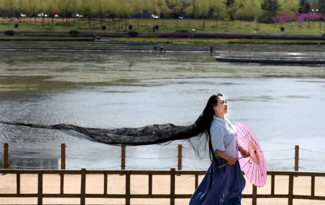A woman with long hair poses for pictures in Weihai, Shandong province, China, April 22, 2017. (Photo by Reuters/Stringer)