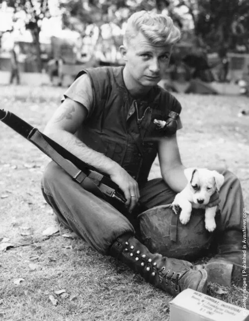 1965: Marine Corporal J Laursen of San Jose, California is taking time out from patrol duty in Santo Domingo, the focal point of the rebellion in the Dominican Republic. Resting with his mascot 'Whitey' a little puppy dog who is sitting in his helmet