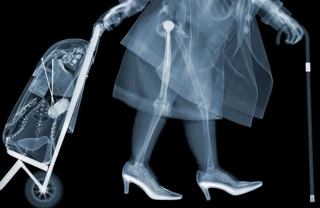 “Granny”: Elderly lady has packed her bag full. (Photo by Nick Veasey/Barcroft Media)