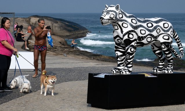 People observe a painted jaguar sculpture on display at Arpoador Beach in Ipanema, Rio de Janeiro, Brazil, on July 10, 2024. The sculpture is part of the “Jaguar Parade” project and exhibition, in which different artists have participated, and will be displayed in squares, beaches, parks, shopping malls, airports, and tourist attractions in Rio de Janeiro in an attempt to draw attention to jaguar conservation and the preservation of their habitat. (Photo by Pablo Porciúncula/AFP Photo)