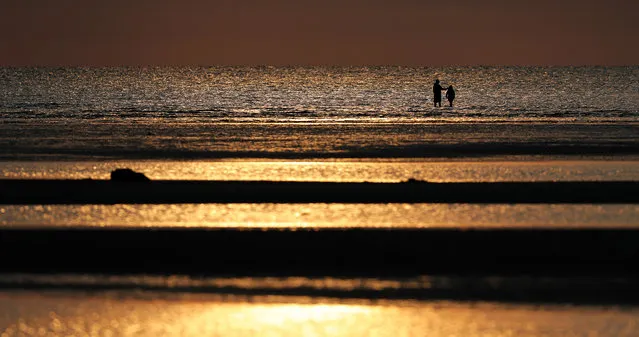 People walk between sand bars at low tide as the setting sun reflects off the water at Cape Cod's Skaket Beach in Orleans, Massachusetts, USA, 23 July 2017. The Massachusetts region of Cape Cod which juts out into the Atlantic Ocean is a popular summer vacation destination. (Photo by Matt Campbell/EPA)