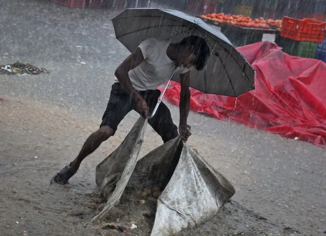 A vendor uses an umbrella as he tries to gather potatoes during a heavy rain shower at a wholesale vegetable market in Chandigarh, India, August 11, 2015. (Photo by Ajay Verma/Reuters)