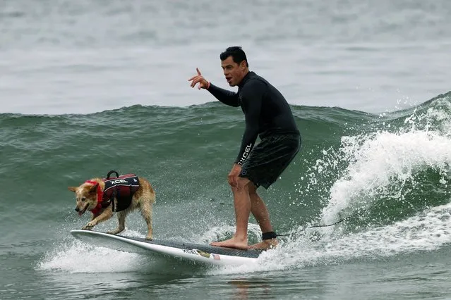 Skyler and his human, Homer Henard catch some waves, during the World Dog Surfing Championships, at Linda Mar Beach, in Pacifica, Californ​ia, USA, 06 August 2022. (Photo by John G. Mabanglo/EPA/EFE)