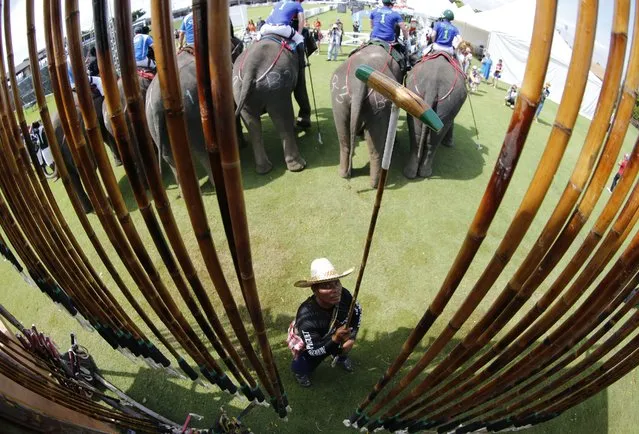 A Thai mahout with a polo mallet as elephants carrying their mahouts and riders prepare for competition on first day's play at the King's Cup Elephant Polo Tournament 2014 held near Bangkok, in Samut Prakan province, Thailand, 28 August 2014. (Photo by Barbara Walton/EPA)