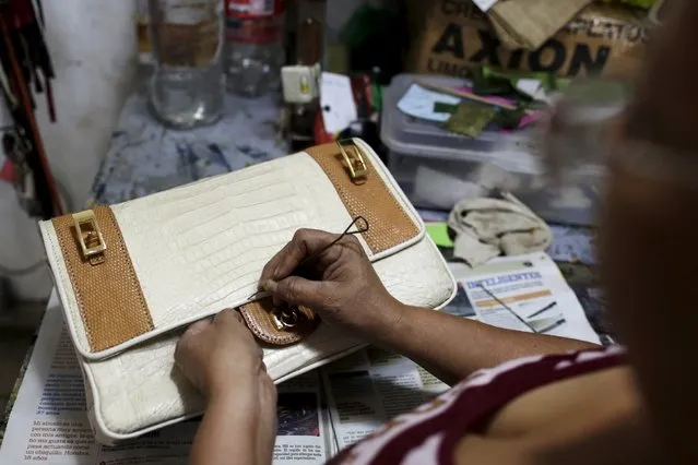 A woman works on a handbag made from crocodile skin, inside a sewing workshop at Panagator, a sustainable crocodile farm, on the outskirts of Panama City September 11, 2015. (Photo by Carlos Jasso/Reuters)