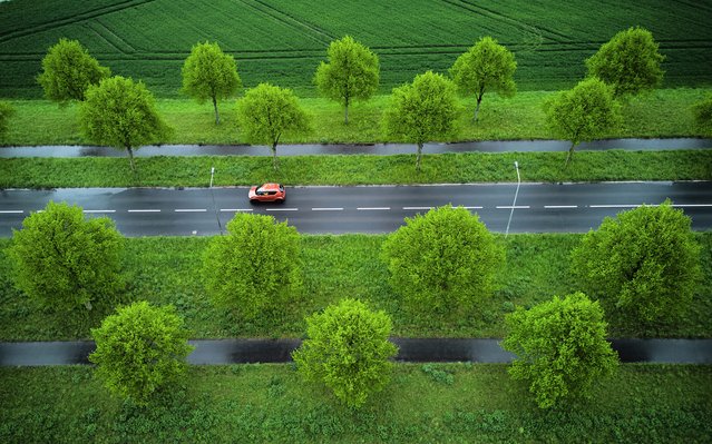 A car drives through an alley in the outskirts of Frankfurt, Germany, Thursday, April 24, 2025. (Photo by Michael Probst/AP Photo)