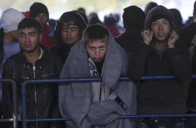 Migrants look on as they wait to enter Slovenia from Trnovec, Croatia October 19, 2015. (Photo by Srdjan Zivulovic/Reuters)
