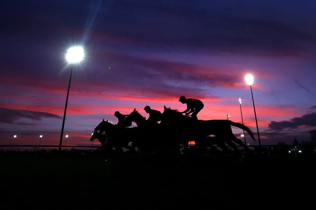 Runners and riders start The Unibet HorseRace Betting Operator Of The Year Classified Stakes run at Kempton Park on February 01, 2023 in Sunbury, England. (Photo by Clive Rose/Getty Images)