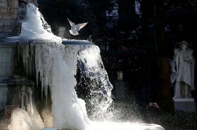 Pigeons are seen as ice partially covers the fountain of the Counts of Egmont and Hornes on a cold winter day in central Brussels, Belgium, February 28, 2018. (Photo by Francois Lenoir/Reuters)