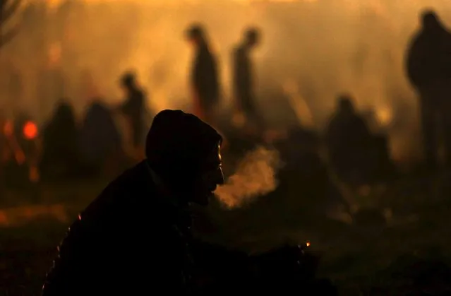 Migrants wait to cross the Slovenia-Austria border in Sentilj, Slovenia, October 27, 2015. (Photo by Srdjan Zivulovic/Reuters)