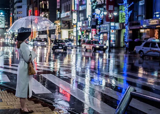 Runner-up. “The heavens opened and the streets around Shibuya, Tokyo, were suddenly drenched in even more colour and movement. I was taking photos (my friend was holding the umbrella) when I noticed this woman at the crossing. I’m pleased with the futuristic feel of the image”. MICK RYAN, JUDGE: “A rich spectrum of colour, neon lights, a glistening street and a woman with an umbrella all combine with great composition to make this a very appealing photograph. Quite nearly perfection, if it wasn’t for the slightly distracting objects top left and bottom right”. (Photo by Katherine Bridgestock/The Guardian)