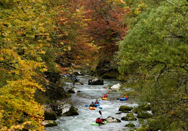 Kayakers paddle along the Loisach river past autumnally coloured deciduous trees in Garmisch-Partenkirchen, Bavaria on October 18, 2020. (Photo by Angelika Warmuth/dpa)