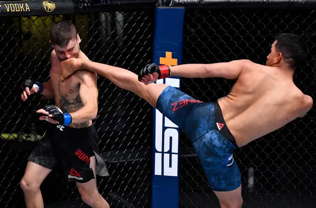 In this handout image provided by UFC, (R-L) Adrian Yanez knocks out Victor Rodriguez with a kick in a bantamweight bout during the UFC Fight Night event at UFC APEX on October 31, 2020 in Las Vegas, Nevada. (Photo by Jeff Bottari/Zuffa LLC via Getty Images)