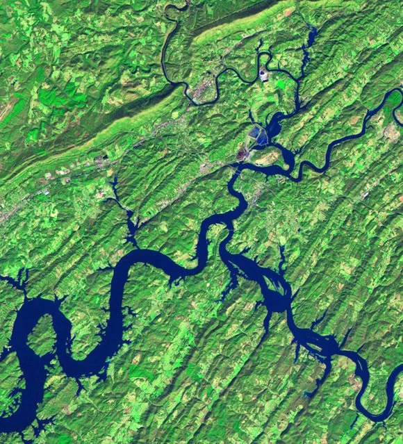 This satellite file image created by Thematic Mapper on NASA's Landsat 5 satellite images, shows Tennessee's Kingston Fossil Plant and its surroundings on November 20, 2008, a month before the spill. In this false-color image, water appears blue and vegetation appears green. (Photo by Reuters/NASA)