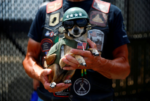 A man holds his dog, as participants gather in the parking lot of the Pentagon as thousands of military veterans and their supporters participate in the 31st annual Rolling Thunder motorcycle rally and Memorial Day weekend “Ride for Freedom” motorcycle procession in Washington, U.S., May 27, 2018. (Photo by Eric Thayer/Reuters)