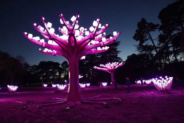 The “Entwined” art installation by Charles Gadeken in San Francisco, California, USA, 01 March 2021. The artwork, a whimsical wonderland of lights-entwined sculptural trees in Peacock Meadow, was installed to celebrate Golden Gate Park's 150th anniversary. (Photo by John G. Mabanglo/EPA/EFE)