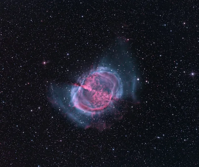 M27 Dumbbell Nebula also known as NGC6853  is in the constellation Vulpecula. It is approximately 1360 light years from Earth. It is about 8 x 6 arcminutes in size and an apparent magnitude  of 7.5  This is a easily visible target in Binoculars and amateur telescopes. M27 is composed of the gas ejected from a dieing star. The remains of this star, is the white dwarf at the center if the object. All the expanding gas and dust in this image was inside that star. (Bill Snyder)
