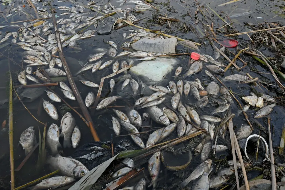 A Look at Life in Iraq