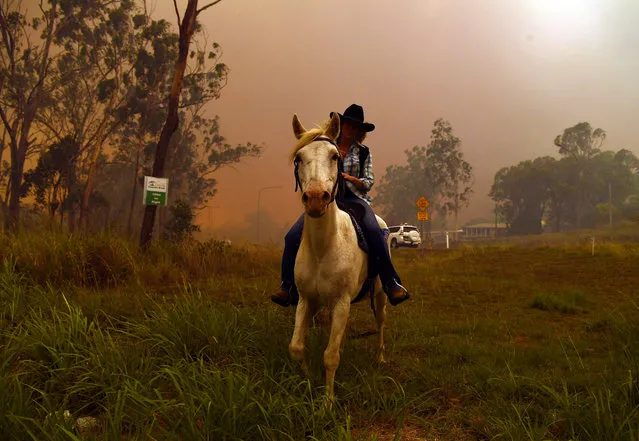 Rhonda Anderson evacuates herself and her horse to safety near Mount Larcom, Queensland, Australia, 28 November 2018. Fire conditions in the area are rated as potentially catastrophic with 140 fires burning around the state. (Photo by Dan Peled/EPA/EFE)