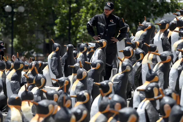 A man stands among recycled-materials penguin sculptures at a square as part of an environmental campaign in Santiago, Chile December 6, 2018. (Photo by Ivan Alvarado/Reuters)