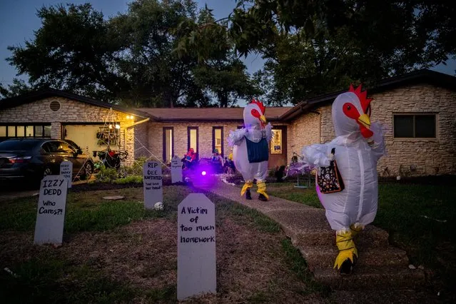 Trick-or-Treaters dressed as chickens run together after receiving candy in the Allandale neighborhood on October 31, 2023 in Austin, Texas. Community members and families came out to celebrate Halloween together. (Photo by Brandon Bell/Getty Images)