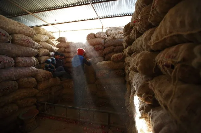 A man arranges sack of onions inside a vegetable market in Kathmandu February 9, 2015. (Photo by Navesh Chitrakar/Reuters)