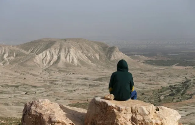 A Palestinian man sits on a rock at Jordan Valley near the West Bank city of Jericho January 21, 2016. (Photo by Mohamad Torokman/Reuters)