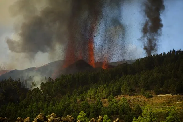 Lava flows from an eruption of a volcano at the island of La Palma in the Canaries, Spain, Sunday, September 19, 2021. (Photo by Jonathan Rodriguez/AP Photo)