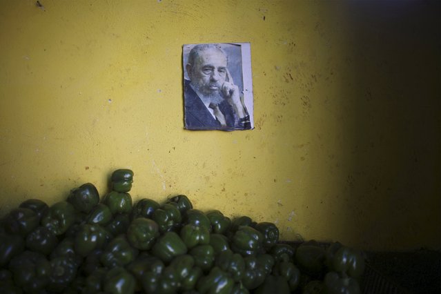 A photograph of Cuba's former President Fidel Castro decorates a wall inside a state-run market in Havana, March 8, 2016. (Photo by Alexandre Meneghini/Reuters)
