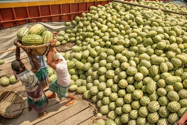 Bangladeshi laborers unload watermelons from a boat at the Buriganga River in Dhaka, Bangladesh, 03 April 2024. Watermelon is in harvesting season and is filling the city markets as it arrives from the southern part of Bangladesh. According to the Department of Agriculture Extension (DAE), Barishal has set an ambitious goal to expand watermelon cultivation to 54,002 hectares across six high-yielding districts in the division, which is 14 percent higher than last year. (Photo by Monirul Alam/EPA/EFE)