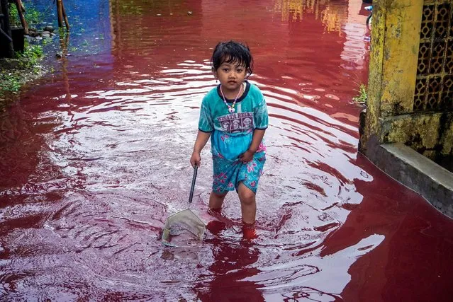 A girl walks through a flooded road with red water due to the dye-waste from cloth factories, in Pekalongan, Central Java province, Indonesia on February 6, 2021. (Photo by Harviyan Perdana Putra/Antara Foto via Reuters)