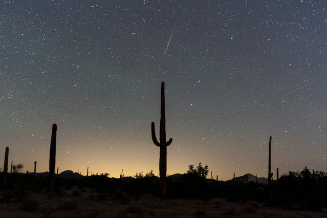 A meteor streaks in the night sky over a cactus during the annual Geminids meteor shower near the U.S.-Mexico border town of Lukeville, Arizona on December 14, 2023. (Photo by Go Nakamura/Reuters)
