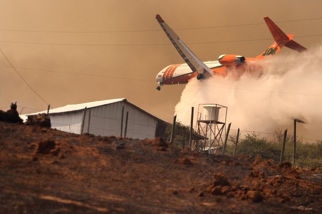 A firefighter aircraft drops water on a wildfire in Ninhue area, Chile on February 11, 2023. (Photo by Ivan Alvarado/Reuters)