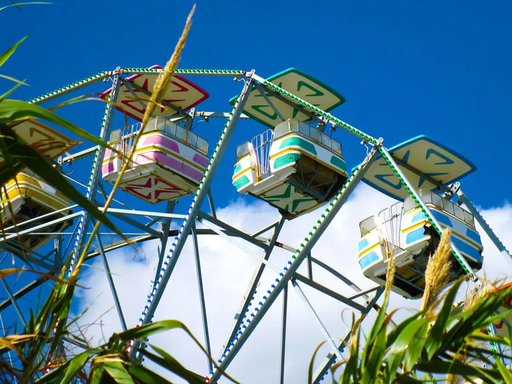 Abandoned Six Flags – New Orleans