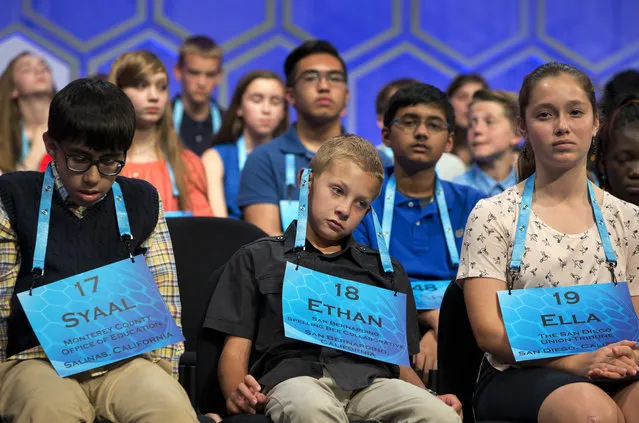 Ethan Gomulka, 11, of San Bernardino, Calif., center, puts his lanyard over his ears as competition continues in the preliminaries of the 2016 National Spelling Bee, in National Harbor, Md., Wednesday, May 25, 2016. At left is Syaal Sharifzad, 12, of Monterey, Calif., and Ella Peters, 13, of San Diego, Calif., is at right. (Photo by Jacquelyn Martin/AP Photo)