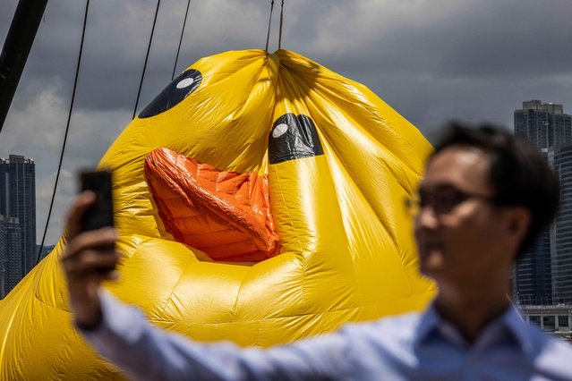 One of two large inflatable yellow ducks named “Double Ducks” by Dutch artist Florentijn Hofman is reinflated at Victoria Harbour in Hong Kong on June 12, 2023, after it was deflated on June 10 to protect it from the summer heat, one day after the official launch of the art installation. (Photo by Isaac Lawrence/AFP Photo)