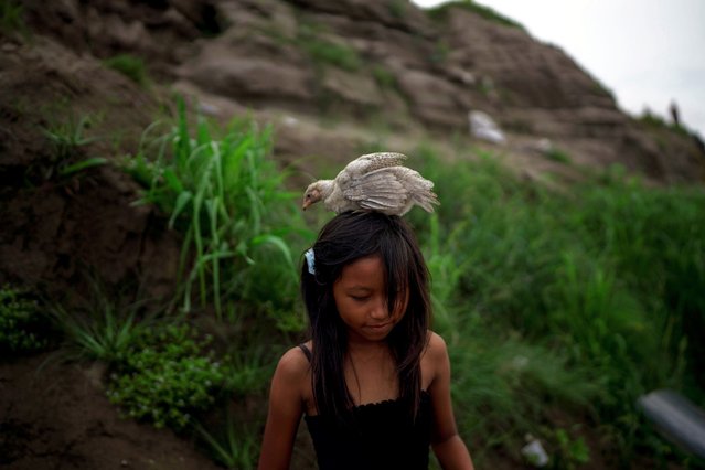 A girl carries a chicken on her head while going down a hill that shows the low level of the Amazon River, in Leticia, Colombia, Monday, October 21, 2024. (Photo by Ivan Valencia/AP Photo)