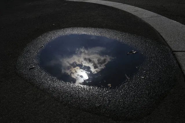 The sun and clouds are reflected in a pond, in Milan Italy, Tuesday, July 11, 2017. (Photo by Luca Bruno/AP Photo)