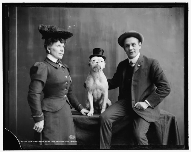 Mr. and Mrs. Frank Kern and their trained dog Bobbie, ca. 1905. (Photo by Detroit Publishing Co. Collection at the Library of Congress)