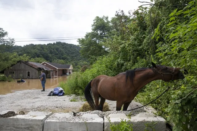 A displaced horse eats from a bush along Gross Loop in Jackson, KY. on July 28, 2022. (Photo by Arden S. Barnes/The Washington Post)