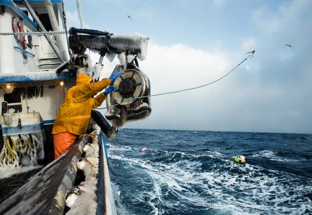 Commercial fishing differs based on what you are fishing. When crabbing, fishermen drop cages, called crab pots, in areas that are known to be filled with crabs. (Photo by Corey Arnold)