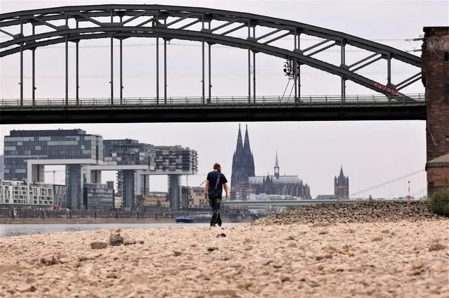 A man walks on the banks of the Rhine river at low water levels in Cologne, Germany on August 15, 2022. (Photo by Thilo Schmuelgen/Reuters)