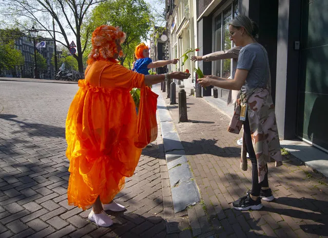 Two women hand out free tulips on King's Day in Amsterdam Netherlands, Monday, April 27, 2020. The Dutch national birthday party was a muted affair, dubbed King's Day at Home because of coronavirus restriction, a far cry usual nationwide celebration with street parties. (Photo by Peter Dejong/AP Photo)