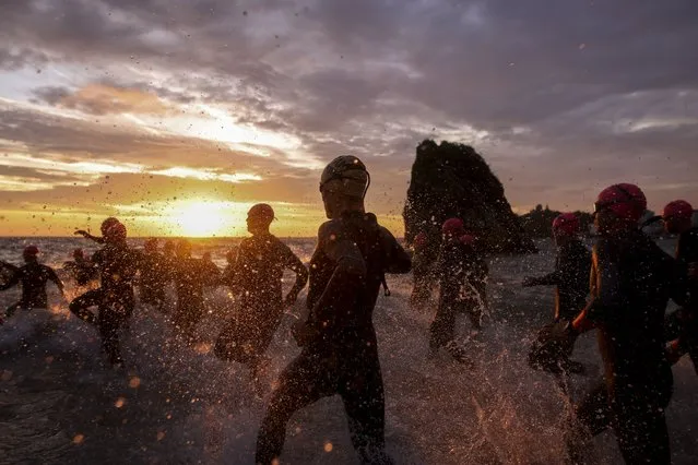 Age group athletes enter the water as they begin the race by starting with the swim leg firs during the IRONMAN Wales on September 11, 2022 in Tenby, Wales. (Photo by Charlie Crowhurst/Getty Images for IRONMAN)